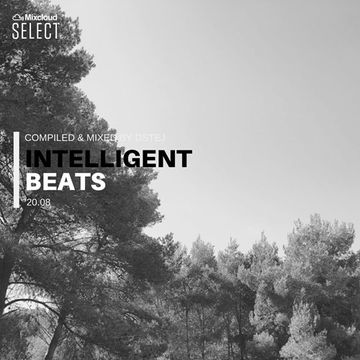 Intelligent beats '20.08