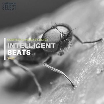 Intelligent beats '20.02