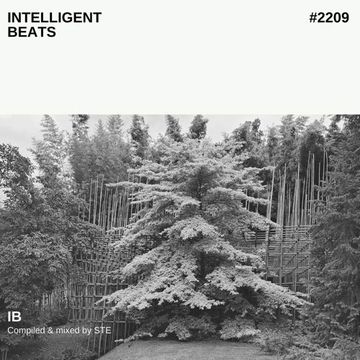 Intelligent beats #2209