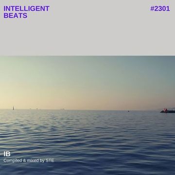 Intelligent beats #2301