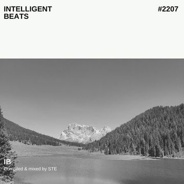 Intelligent beats #2207