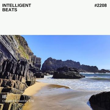 Intelligent beats #2208