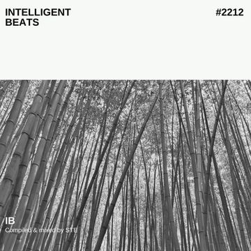 Intelligent beats #22.12