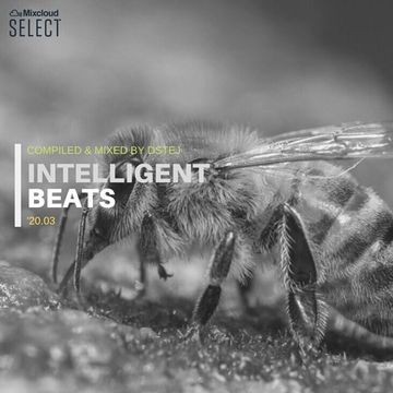 Intelligent beats '20.03