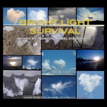 Bright Light Survival I