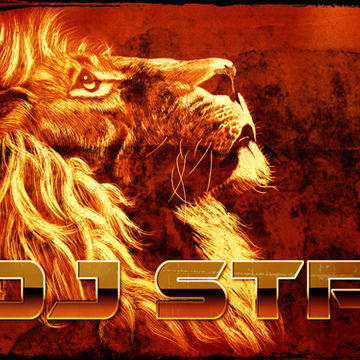 DJ STP RAGGA JUNGLE SESSIONS VOL 4