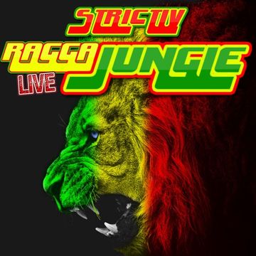 strictlyraggajungle.com LIVE DJ STP MINIMIX 30th AUGUST 2018