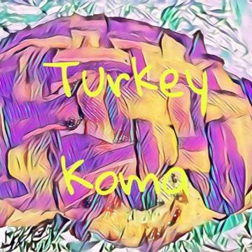 Snegbo The DJ   Turkey Koma