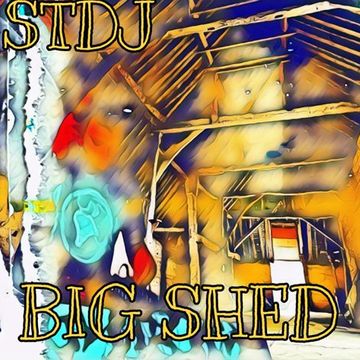 snegbo the DJ Big Shed