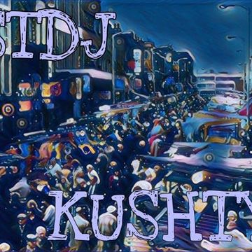 Snegbo the DJ  - Kushty