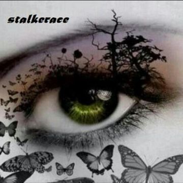 stalkerace