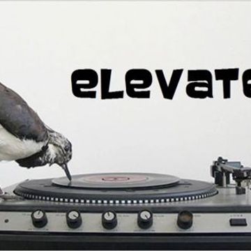 "Elevate"