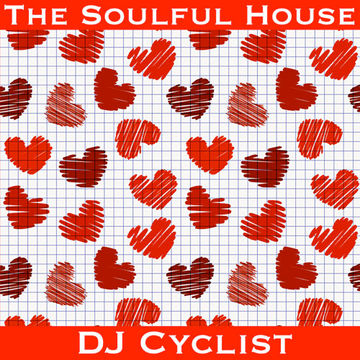 DJ Cyclist   The Soulful House