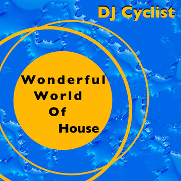 DJ Cyclist   Wonderfull World Of House