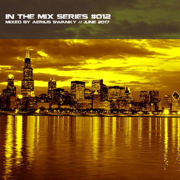 In the mix series Vol.12 by Aerius Swanky