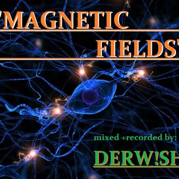 MAGNETIC FIELDS [20-02-16]