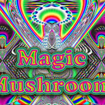 Magic Mushroom Land , (Episode 053), (5 18 14), (part 2.)