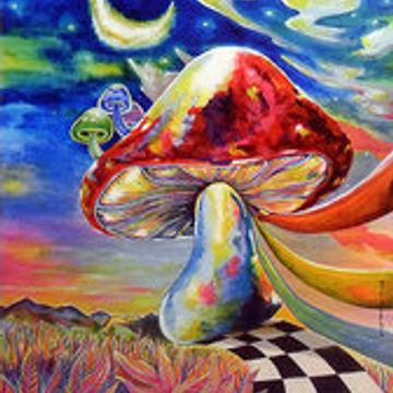 Magic Mushroom Land, (Episode 068), (8  31 14), (Part 2)