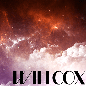 DJ-WIllcox