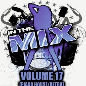 Dj Vinyldoctor - In The Mix Vol 17 (Piano House Retro)