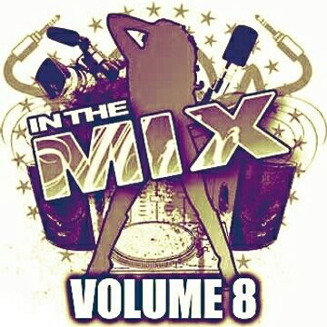 Dj Vinyldoctor - In The Mix Vol 8