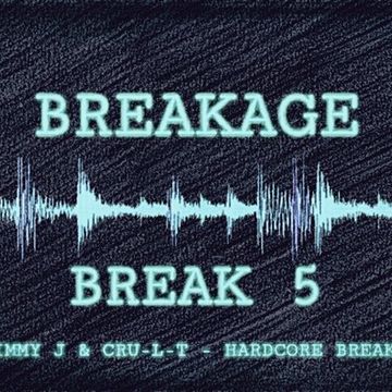 Vinyldoctor - Breakage - Break 5 (Jimmy J & Cru-L-T - Hardcore Breaks)