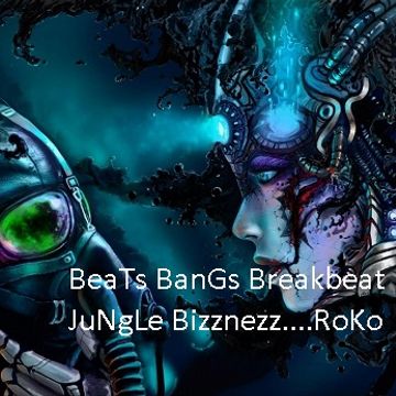 Beats Bangs Breakbeat Jungle Bizznzez...RoKo