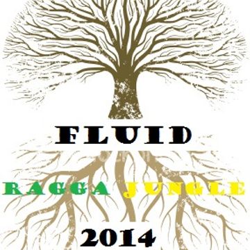 RAGGA JUNGLE 2k14