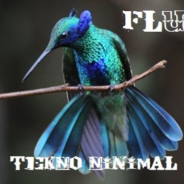 TEKNO NINI MAL