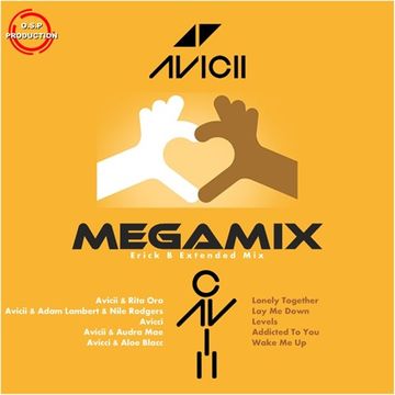 Avicii - Megamix (Erick B Extended Mix)