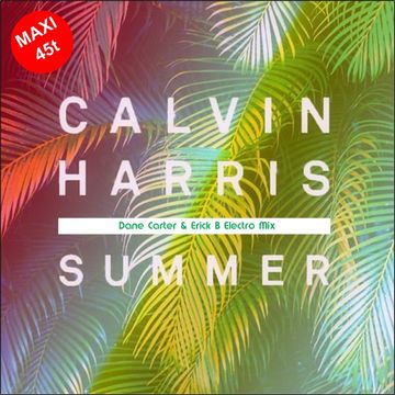 Calvin Harris - Summer (Dane Carter & Erick B Electro Mix)