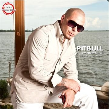 Pitbull - I Know You Want Me (Erick B House Mix)