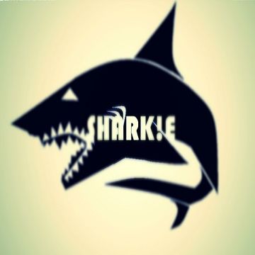 Benny Benassi Ft. Gary Go vs, MAKJ vs. Dimitri Vegas & Like Mike vs. W&W   Let This Last Waves (SHARK!E MashUp)