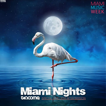 miami nights   Miami Music Week 2014