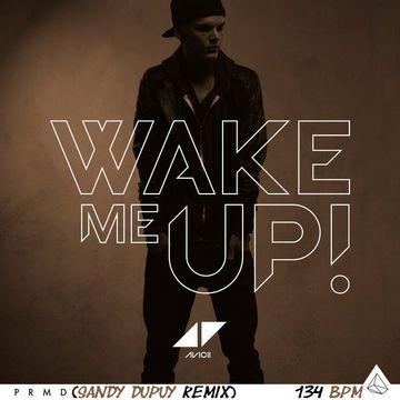 Avicii Wake Me Up (Sandy Dupuy Remix) 134 BPM