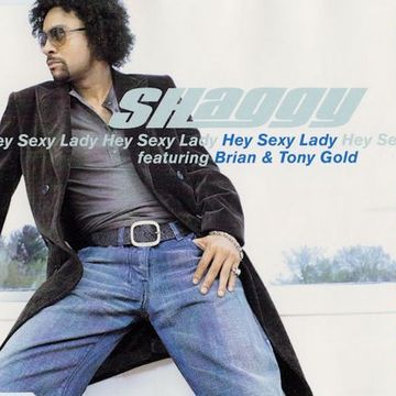 DJ SANDY REMIX SHAGGY featuring SEAN PAUL Hey sexy lady 115 BPM