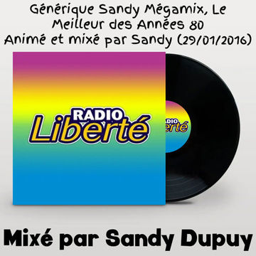 Générique Sandy Mégamix, Le Meilleur des Années 80 - Animé et mixé par Sandy (29/01/2016)