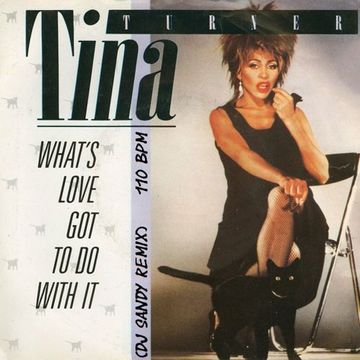 DJ SANDY REMIX TINA TURNER What' s love got to do with it 110 BPM