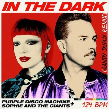 Purple Disco Machine & Sophie And The Giants - In The Dark (Sandy Dupuy Remix) 124 BPM