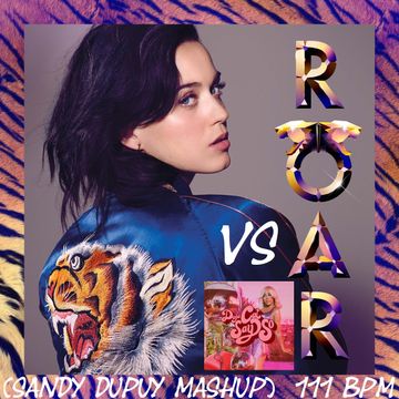 Katy Perry x Doja Cat - Roar x Say So (Sandy Dupuy Mashup) 111 BPM