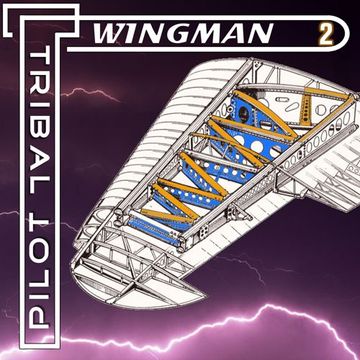 Wingman 2