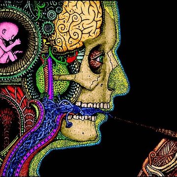 Psydef - These Drugs  