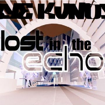 LOST IN THE ECHO 