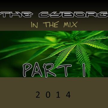 The Cyborg In The Mix Part I [2014]