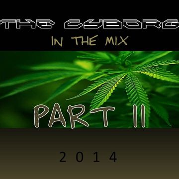 The Cyborg In The Mix Part II  [2014]