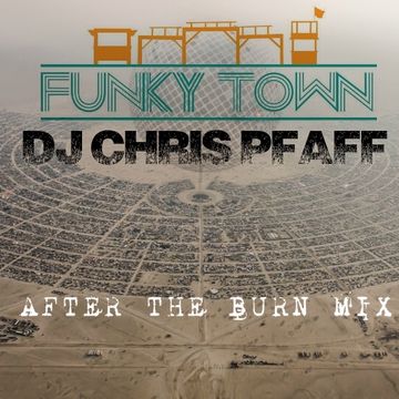 After the burn mix 2014