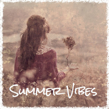 Steve @ Domainstream (Summer Vibe House Mix 2015)