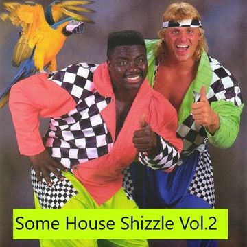 Some House Shizzle! Vol 2