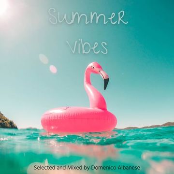 Summer Vibes 22 - Mixed by Domenico Albanese 