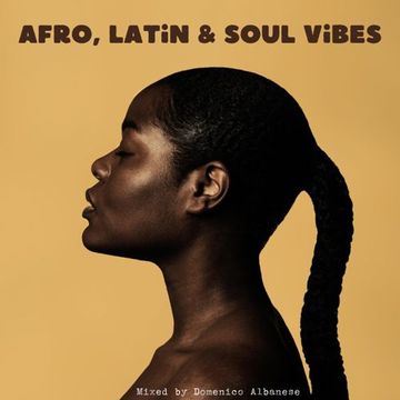 Afro, Latin & Soul Vibes   Mixed by Domenico Albanese